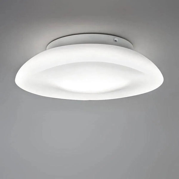 Lunex LED Wall/Ceiling Light