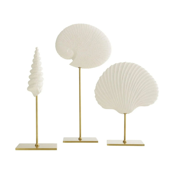 Shell Sculptures, Set of 3