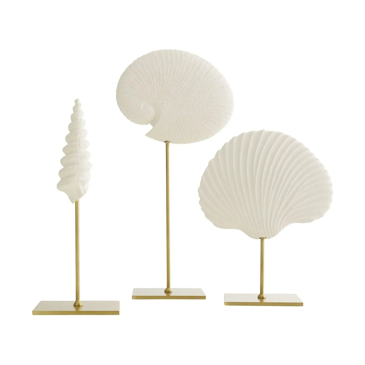 Arteriors - Shell Sculptures, Set of 3 - DC9000 | Montreal Lighting & Hardware