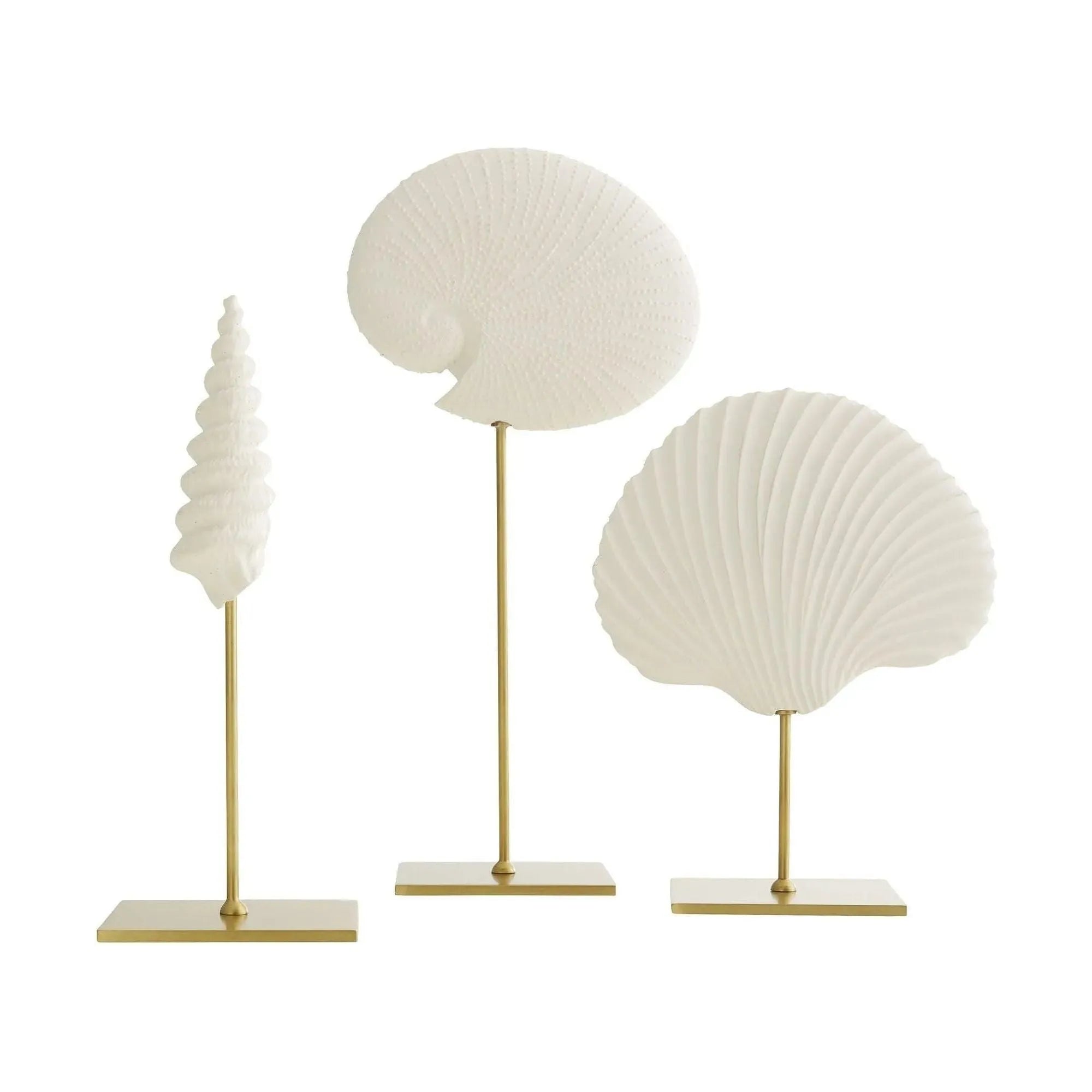 Arteriors - Shell Sculptures, Set of 3 - DC9000 | Montreal Lighting & Hardware