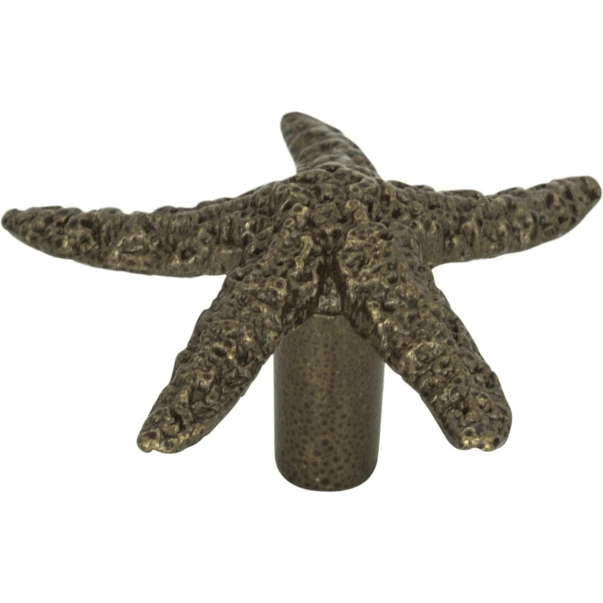 Atlas Homewares - Starfish Knob - 142-BB | Montreal Lighting & Hardware