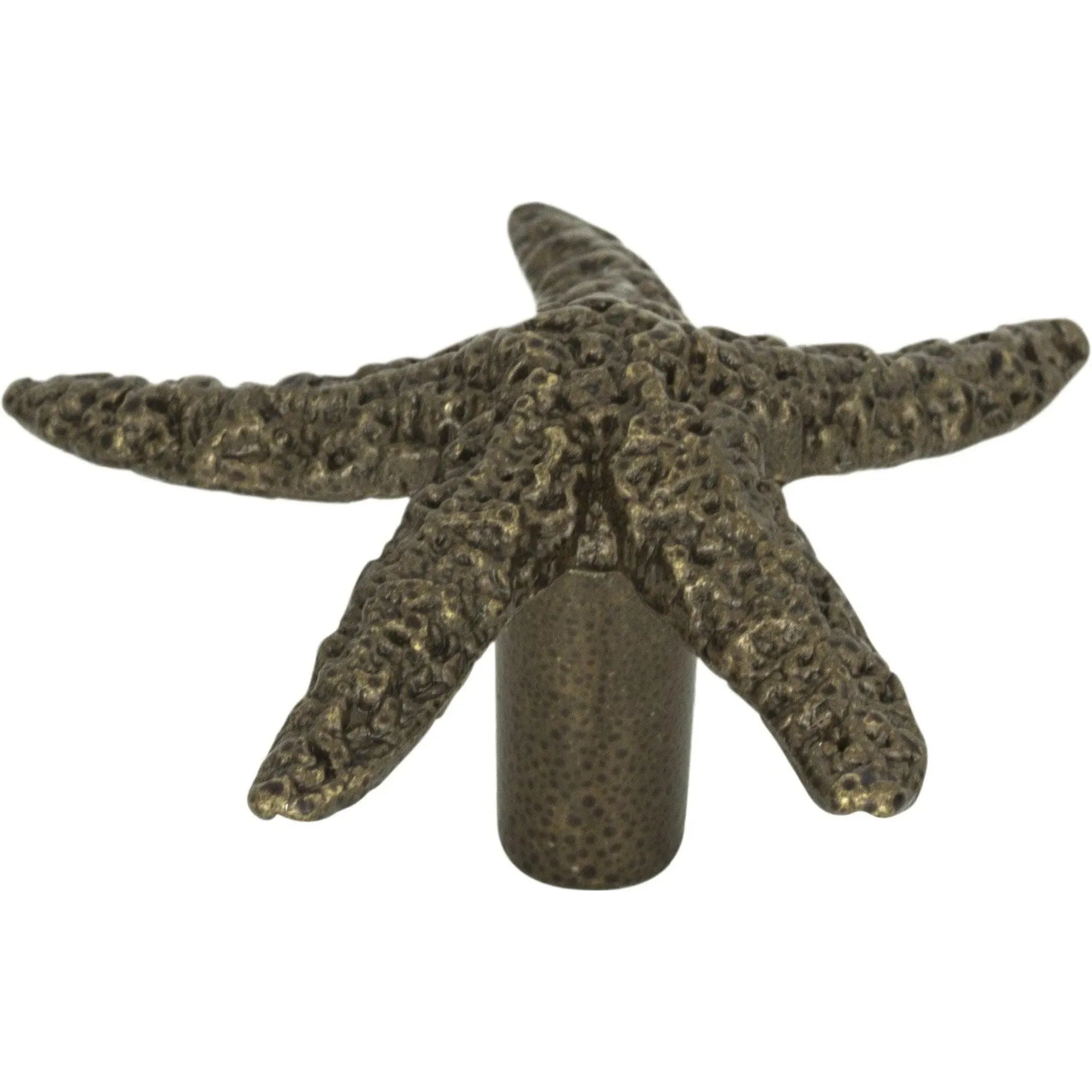 Atlas Homewares - Starfish Knob - 142-BB | Montreal Lighting & Hardware