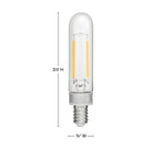 Ampoule LED Hinkley Lighting E12T62243CL-24 LumiGlo E12T62243CL dans Accessoires