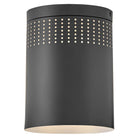 Abat-jour en métal Lark 83681BK Casey Plafonnier en noir