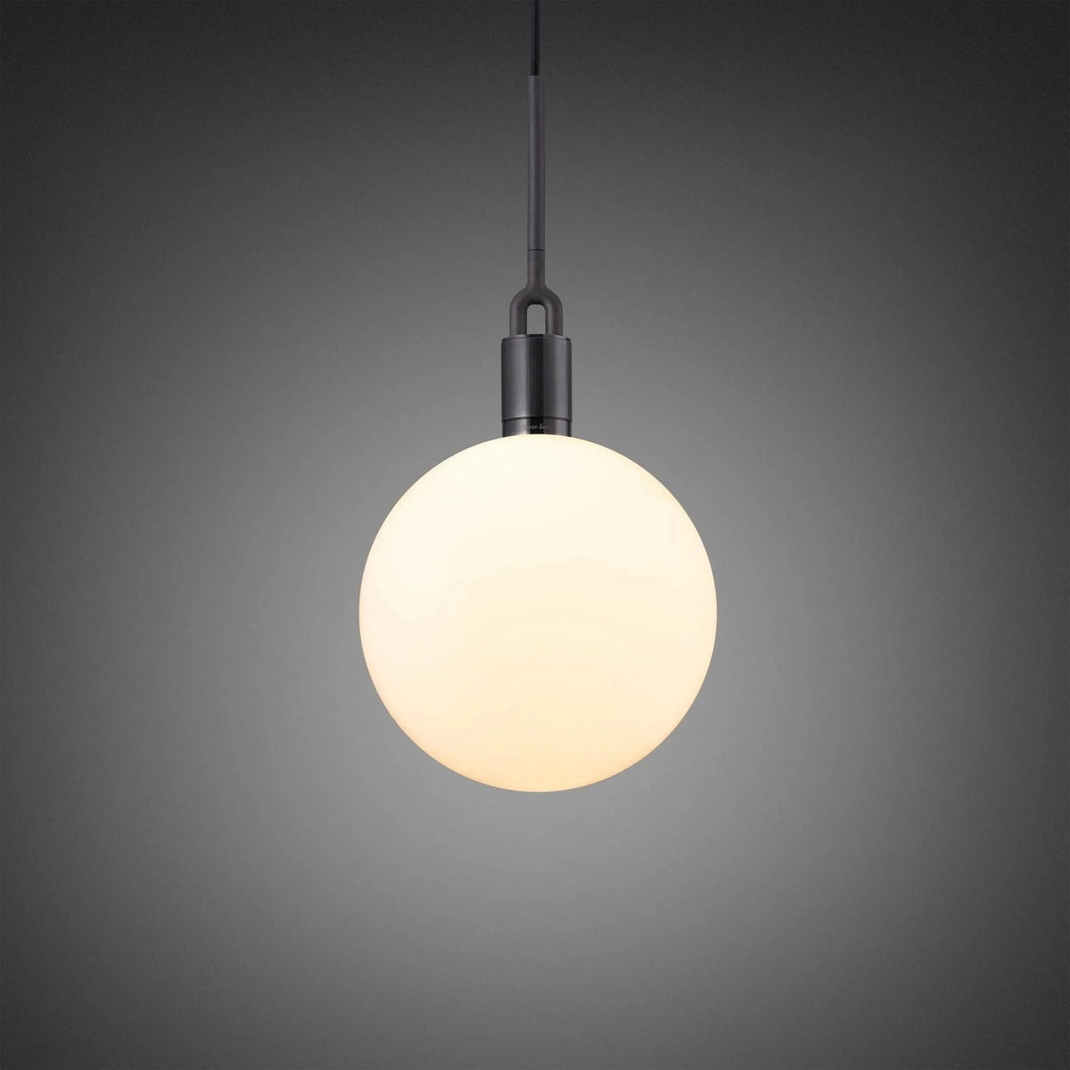 Buster + Punch - Forked Pendant - Globe - NFP-873190 | Montreal Lighting & Hardware