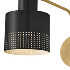 Applique murale articulée Lark 84620LCB-BK Casey en laiton laqué avec accents noirs et laiton laqué