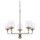 Capital Lighting Fixture Company - Colton Chandelier - 428851AD-451 | Montreal Lighting & Hardware