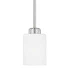 Capital Lighting Fixture Company - Dixon Pendant - 315211BN-338 | Montreal Lighting & Hardware