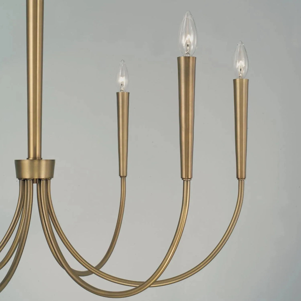 Capital Lighting Fixture Company - Holden Chandelier - 445961AD | Montreal Lighting & Hardware