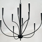 Capital Lighting Fixture Company - Holden Chandelier - 445961AD | Montreal Lighting & Hardware