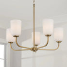 Capital Lighting Fixture Company - Lawson Chandelier - 448851AD-542 | Montreal Lighting & Hardware