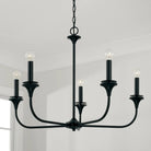 Capital Lighting Fixture Company - Presley Chandelier - 448951AD | Montreal Lighting & Hardware
