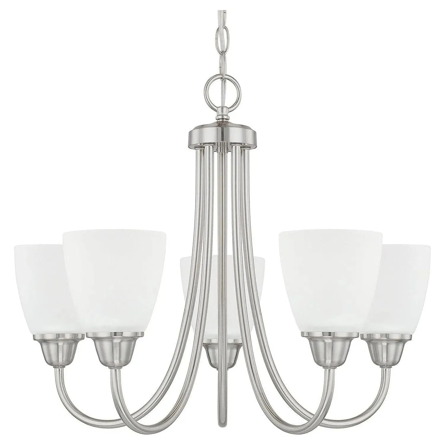 Capital Lighting Fixture Company - Trenton Chandelier - 415151BN-337 | Montreal Lighting & Hardware