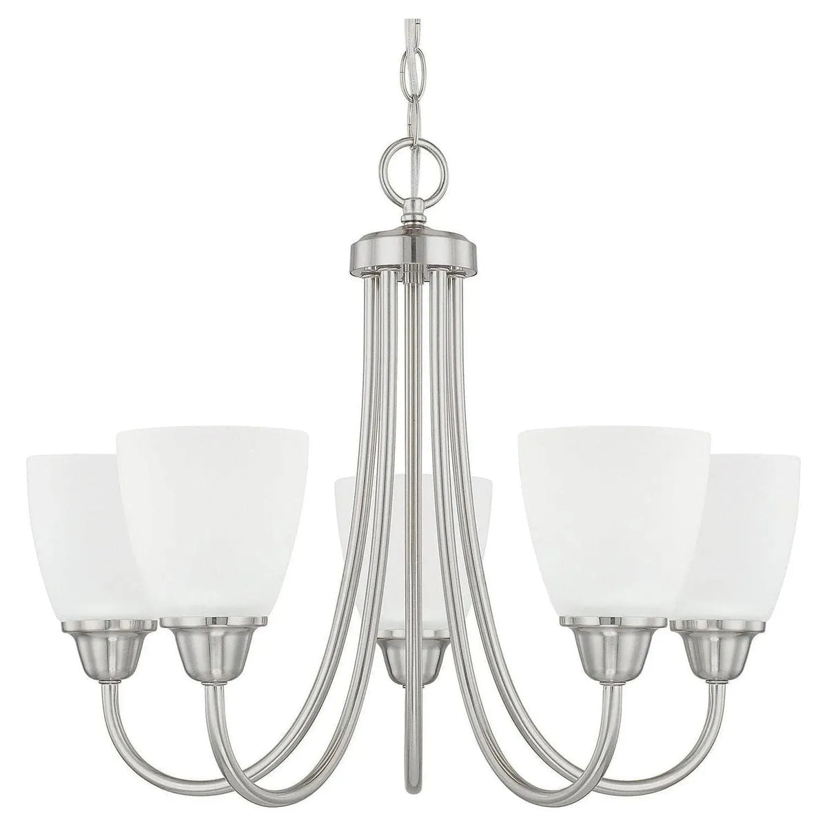 Capital Lighting Fixture Company - Trenton Chandelier - 415151BN-337 | Montreal Lighting & Hardware