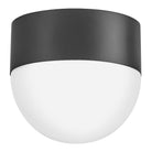 Lark 82091BK Bardi Flush Mount in Black