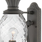 Lanterne murale Hinkley Lighting 2120MB Plantation, coloris Museum Black