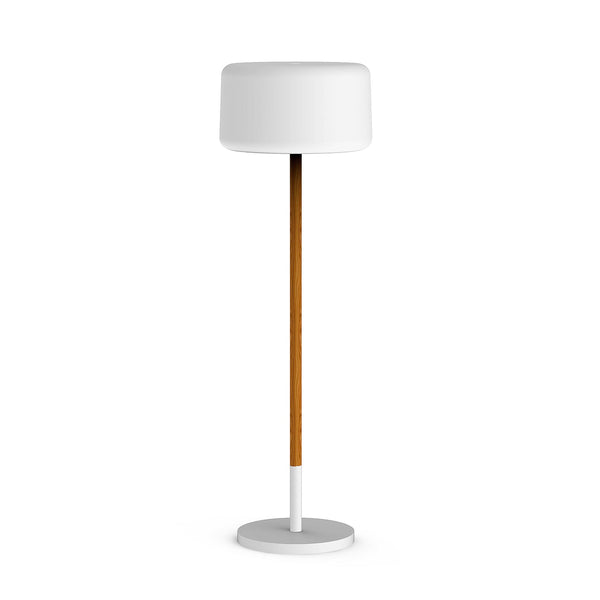 Chloe Plant Floor Lamp