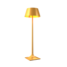 Accord Lighting 3044.49 Nostalgia Accord Floor Lamp in Organic Gold