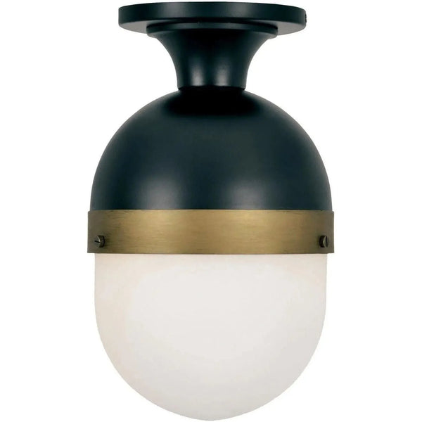 Capsule One Light Outdoor Ceiling Mount