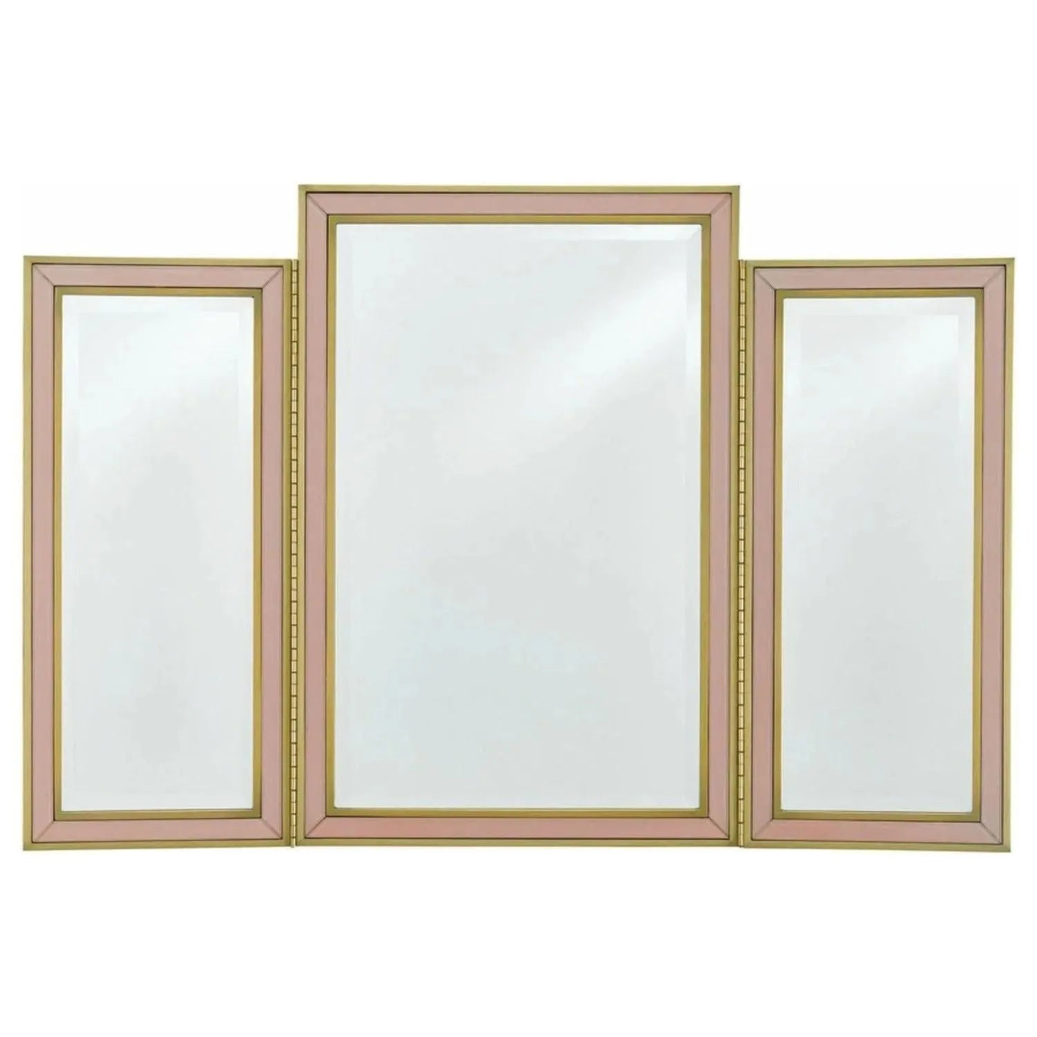 Currey and Company - Arden Pink Vanity Mirror - 1000-0024 | Montreal Lighting & Hardware