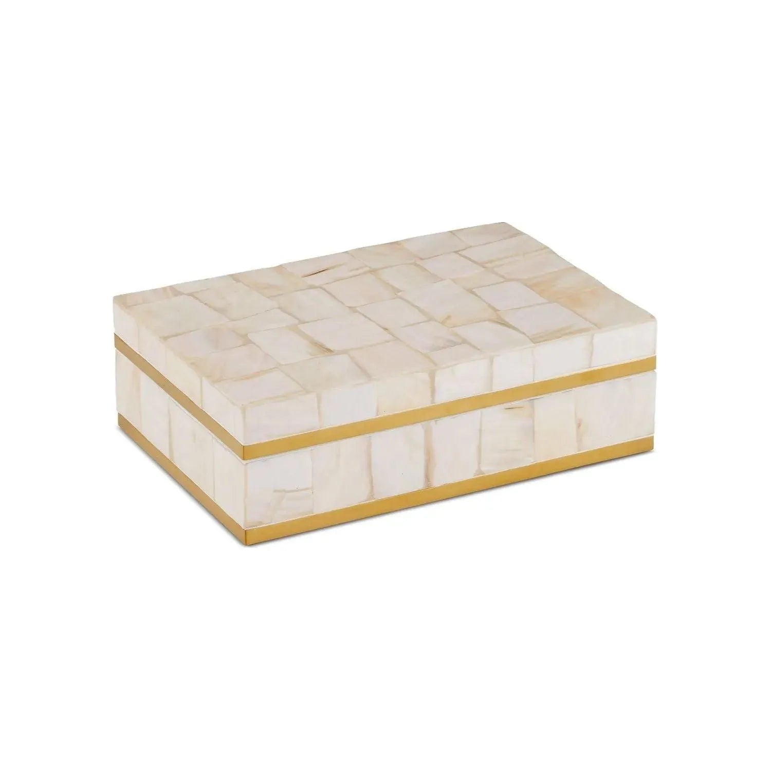 Currey and Company - 1200-0971 - Box - Casey - Natural / Brass / Black