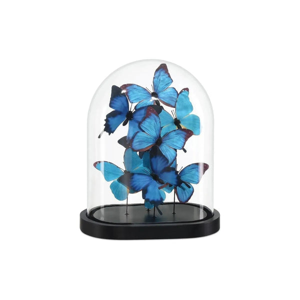Rue de Bac Butterflies