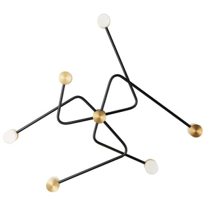 Descriptive image text