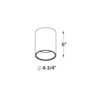 Cylindre LED Focus DALS Lighting CYL05-CC-BK Plafonnier en noir