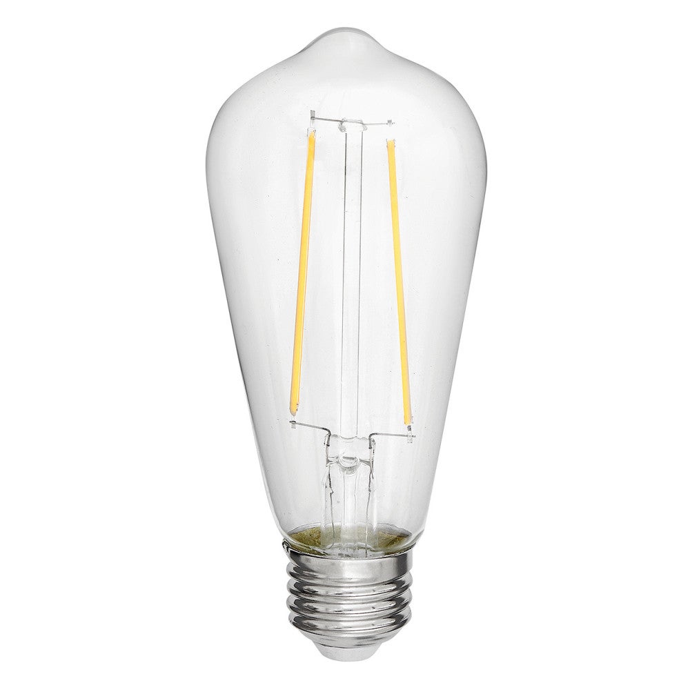 Ampoule LED LumiGlo E26ST192245CL de Hinkley Lighting (Accessoires)