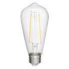 Ampoule LED LumiGlo E26ST192245CL de Hinkley Lighting (Accessoires)