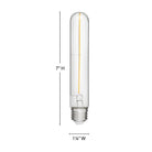 Ampoule LED LumiGlo E26T102247CL-4 de Hinkley Lighting (E26T102247CL) - Accessoires