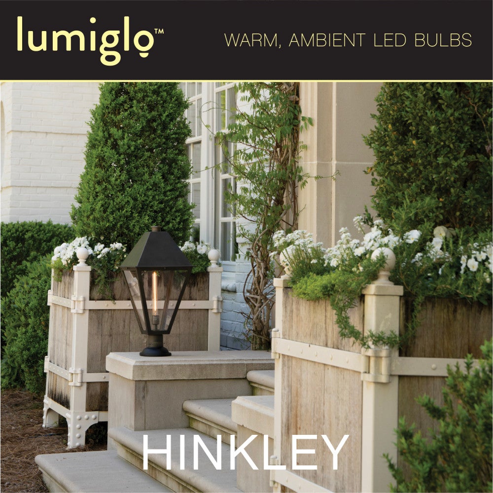 Ampoule LED LumiGlo E26T1042411CL-4 de Hinkley Lighting (E26T1042411CL) - Accessoires