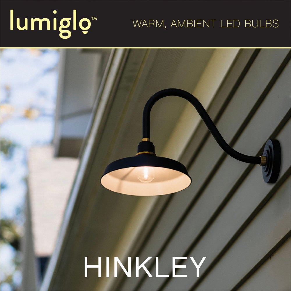 Ampoule LED Hinkley Lighting E26G402277MW LumiGlo E26G402277MW dans Accessoires