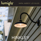 Ampoule LED Hinkley Lighting E26G402277MW LumiGlo E26G402277MW dans Accessoires