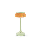 Fresh Mint / Rattan