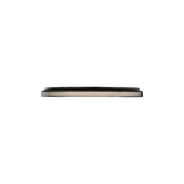 Clara LED Wall / Ceiling Light