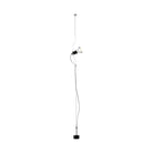 Flos - Parentesi Suspension Lamp - FU540009 | Montreal Lighting & Hardware