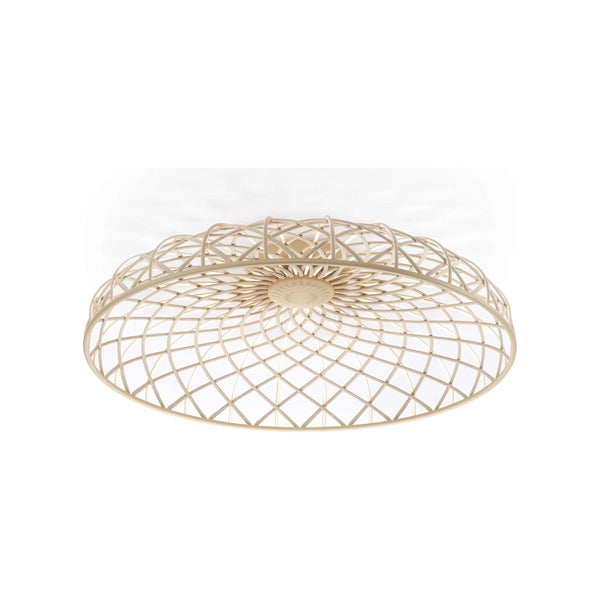 Skynest Wall/Ceiling Light