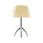 Foscarini - Lumiere Table Lamp - FN0260112R2_12U | Montreal Lighting & Hardware