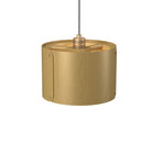 Accord Lighting 1539.49 Element Accord Pendant in Organic Gold