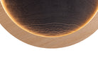 Plafonnier Accord Lighting 5138LED Petra Accord
