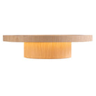 Plafonnier Accord Lighting 5138LED Petra Accord