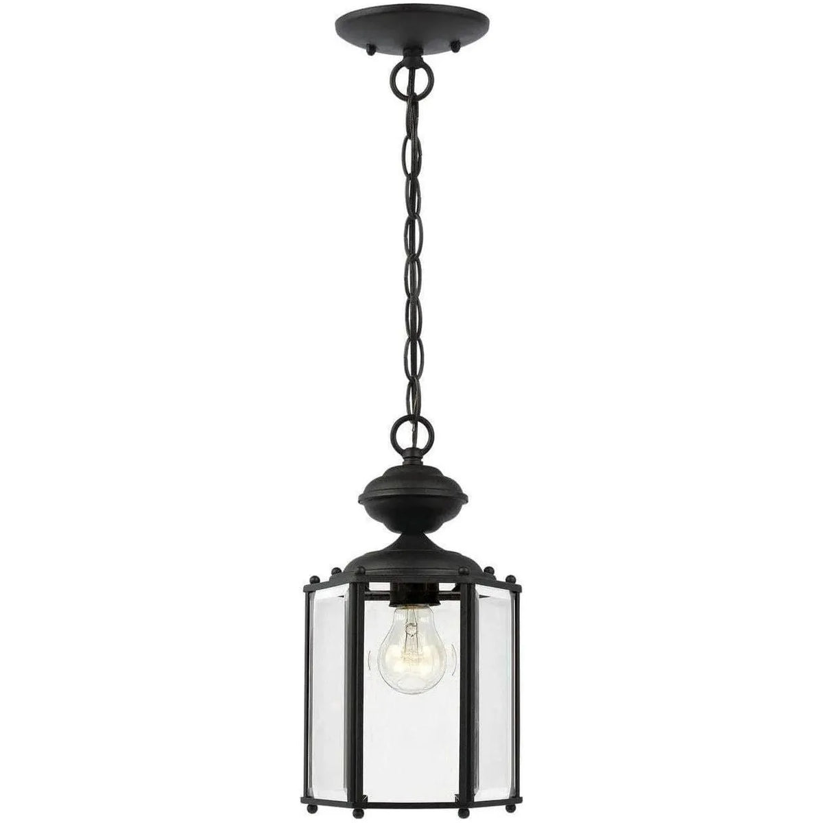 Generation Lighting - Classico Outdoor Semi-Flush Convertible Pendant - 6008-12 | Montreal Lighting & Hardware
