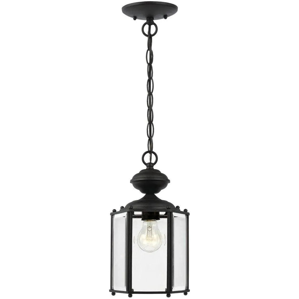 Generation Lighting - Classico Outdoor Semi-Flush Convertible Pendant - 6008-02 | Montreal Lighting & Hardware