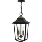 Hinkley Lighting - Burton 10-Inch Outdoor Hanging Lantern - 1972BK | Montreal Lighting & Hardware