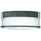 Hinkley Lighting - Colbin 12-Inch Flush Mount - 3231DZ | Montreal Lighting & Hardware