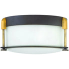 Hinkley Lighting - Colbin 12-Inch Flush Mount - 3231OZ | Montreal Lighting & Hardware