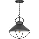 Hinkley Lighting - Crew 15-Inch Outdoor Hanging Lantern - 2692BK | Montreal Lighting & Hardware
