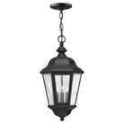 Hinkley Lighting - Edgewater LED Hanging Lantern - 1672BK-LL | Montreal Lighting & Hardware