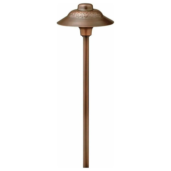 Essence DEL Lumière de chemin